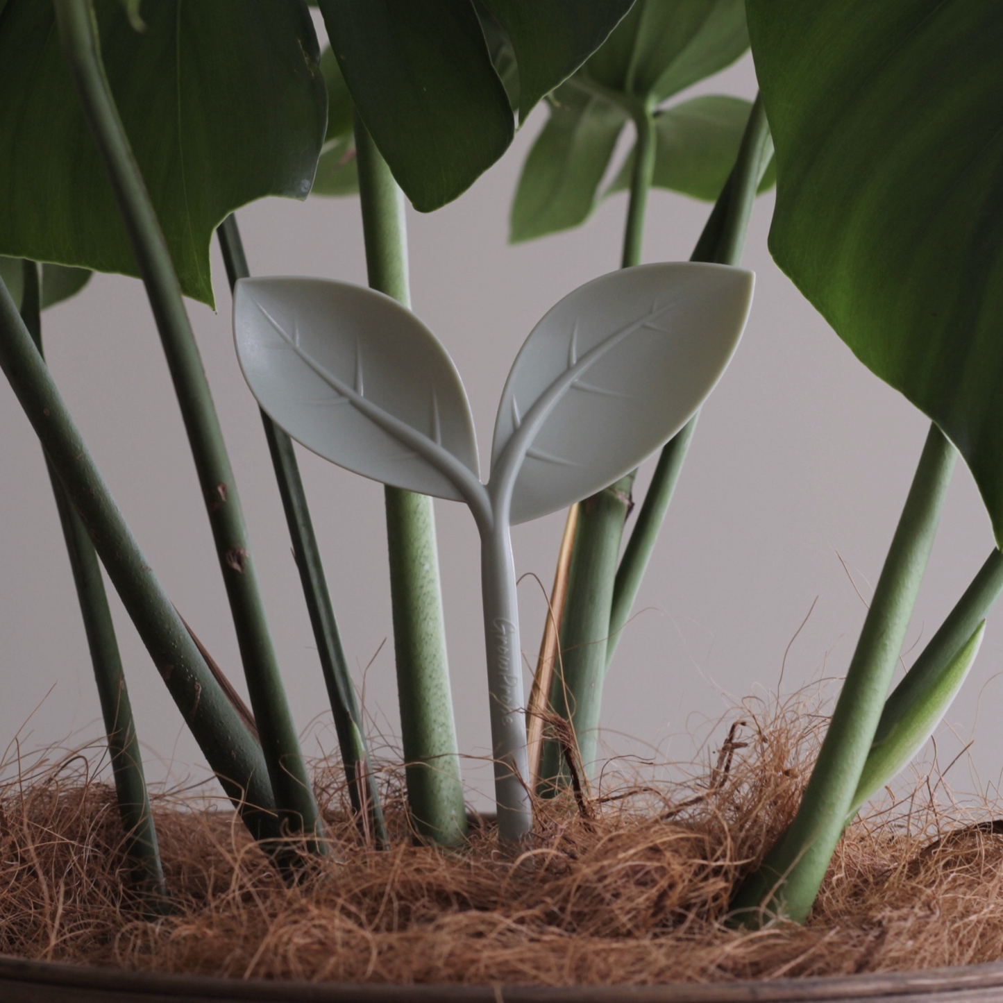 GrowProbe
